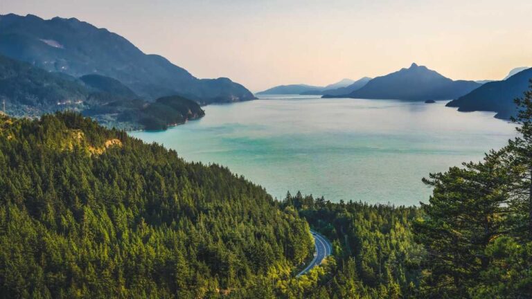 How Do I Log In To My 11Xplay Account?